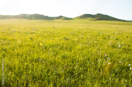 China Inner Mongolia natural grassland