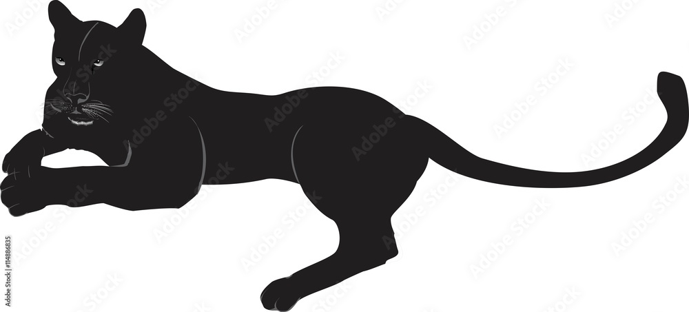 Naklejka premium Lying Black panther isolated on white vector illustration