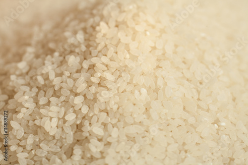 White Rice, Food, Crop