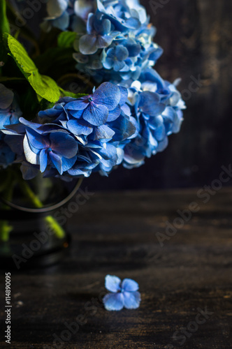 Fototapeta Naklejka Na Ścianę i Meble -  Blue hydrangea flowers