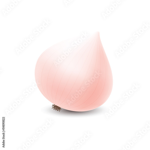 Organic fresh onion