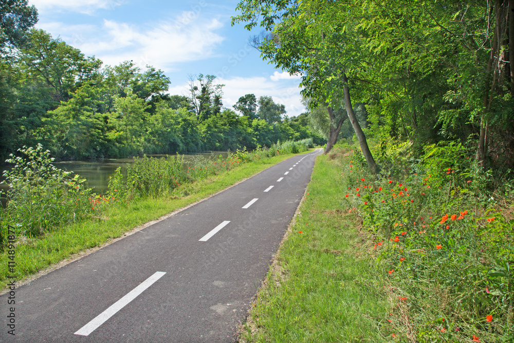 The bike way alongside the river in Bernolakovo.