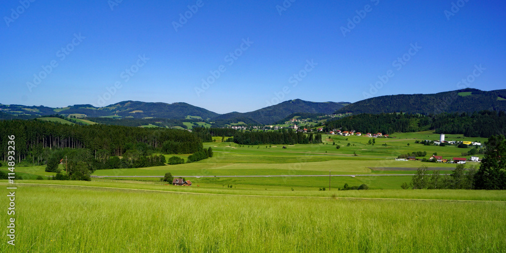 Blick nach FLADNITZ a.d.Teichalpe ( Oststeiermark )