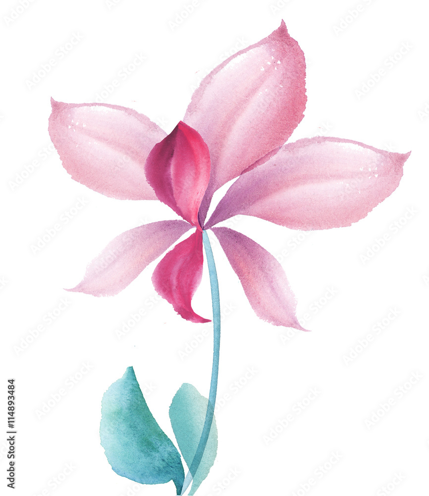 fancy orchid flower design element. hand drawn illustration. wat fancy orchid flower design element. hand drawn illustration. wat