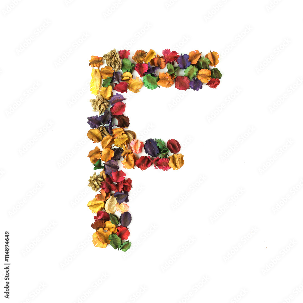 F, Dried flower alphabet isolated on white background F, Dried flower alphabet isolated on white background