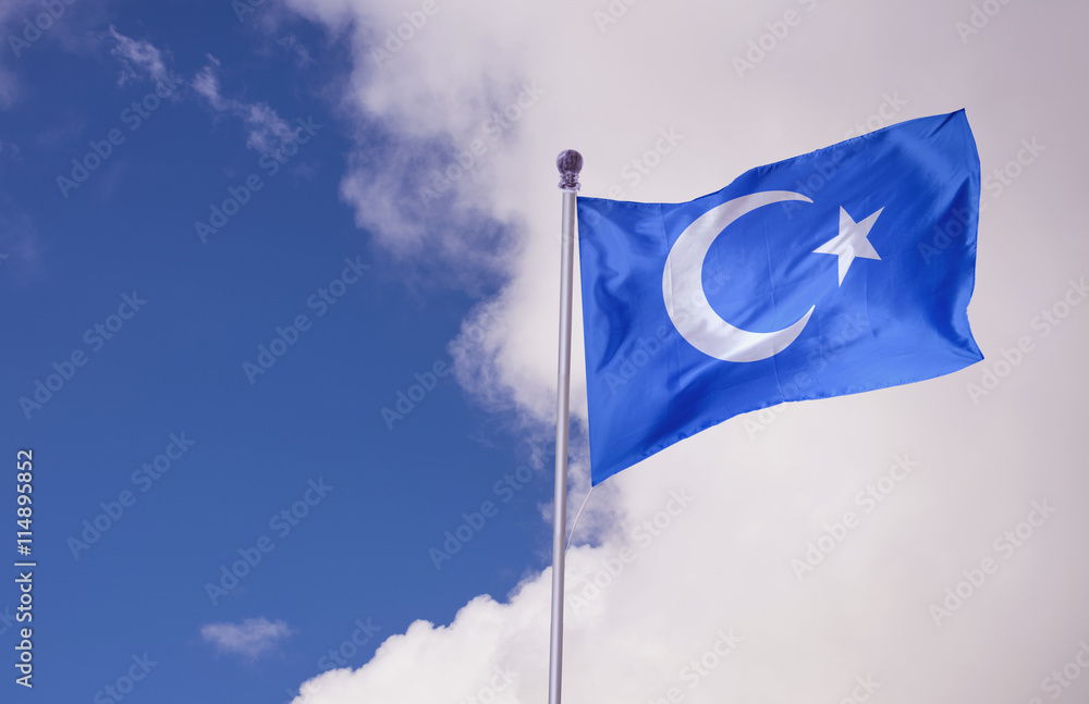 EAST TURKESTAN, Flag Stock Photo | Adobe Stock