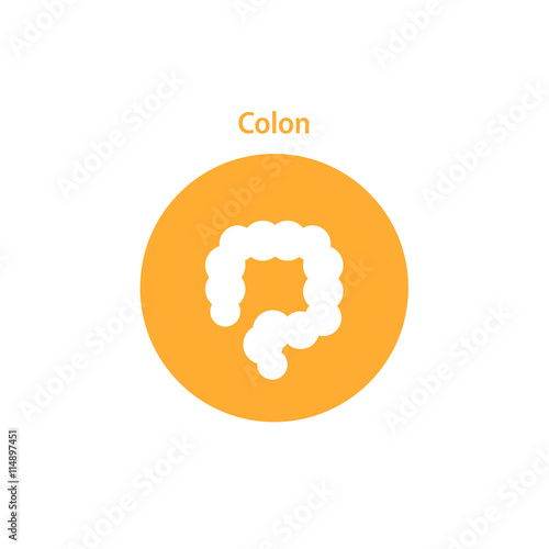 Vector colon simple icon
