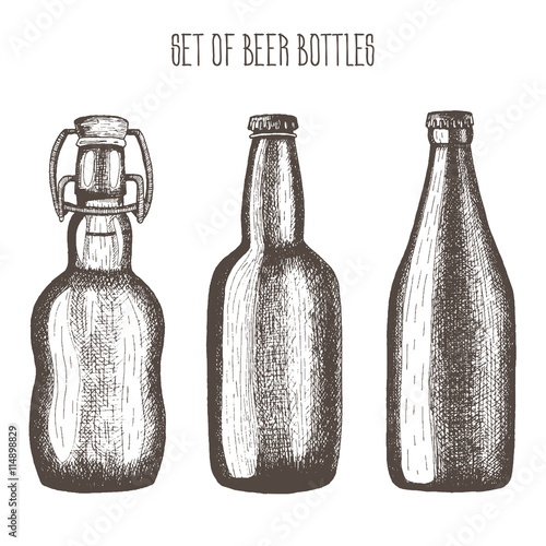 Set of beer bottles. Vector illustration, hand-drawn in ink.