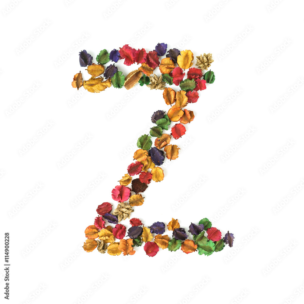 Z, Dried flower alphabet isolated on white background Z, Dried flower alphabet isolated on white background