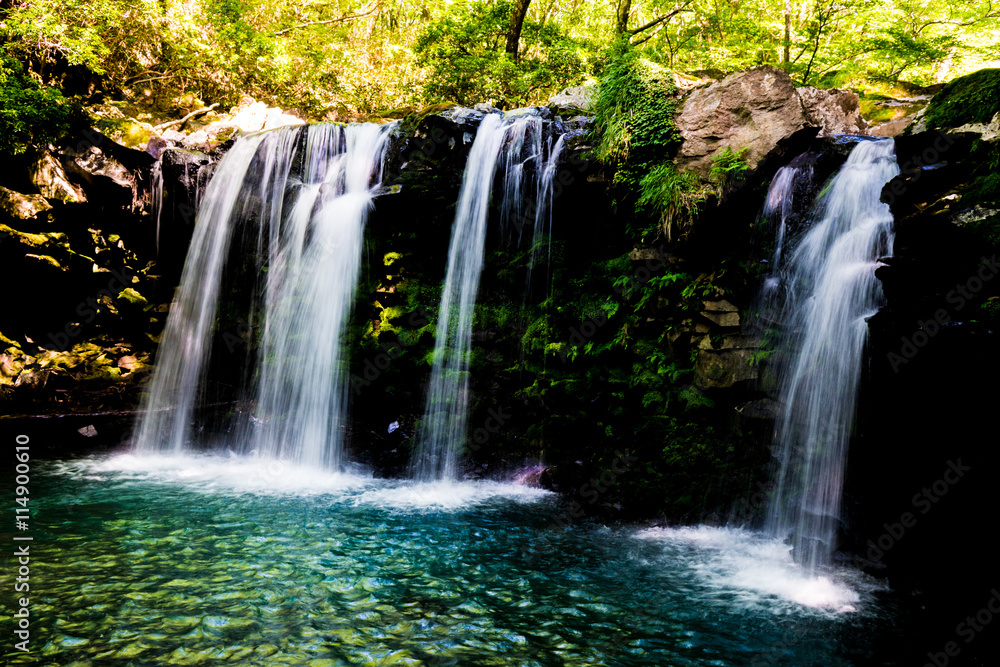 Obraz premium Yugure no Taki