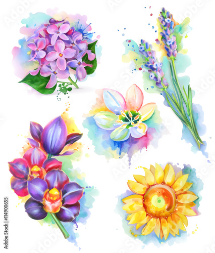 Beautiful flowers, watercolor painting, mesh vector icon set
