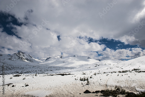 white pass - Alaska photo