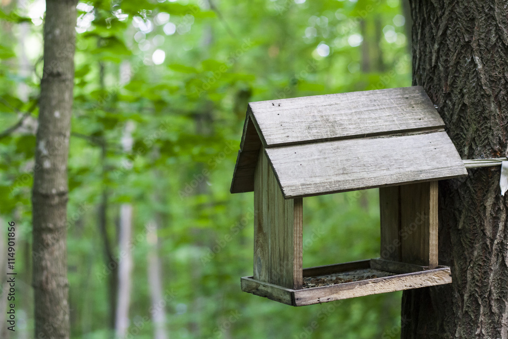 Feeder, birdhouse in a tree in the woods or park. For feeding of squirrels and birds. Feeder, birdhouse in a tree in the woods or park. For feeding of squirrels and birds.