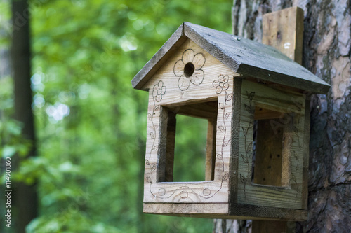 Feeder, birdhouse in a tree in the woods or park. For feeding of squirrels and birds.