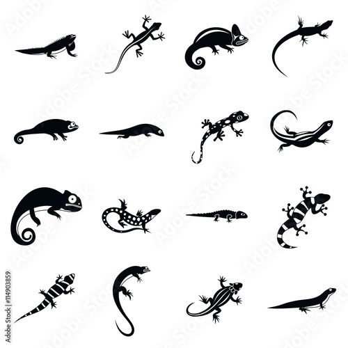 Canvas Print Lizard icons in simple style