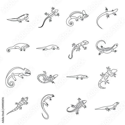 Lizard icons in outline style. Line lizards set isolated vector illustratration