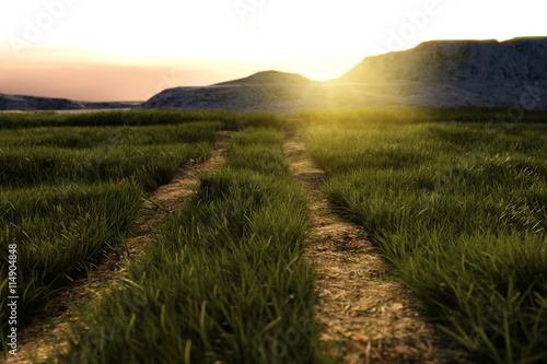 3d rendering of footpath at high grassland in the evening sunshi