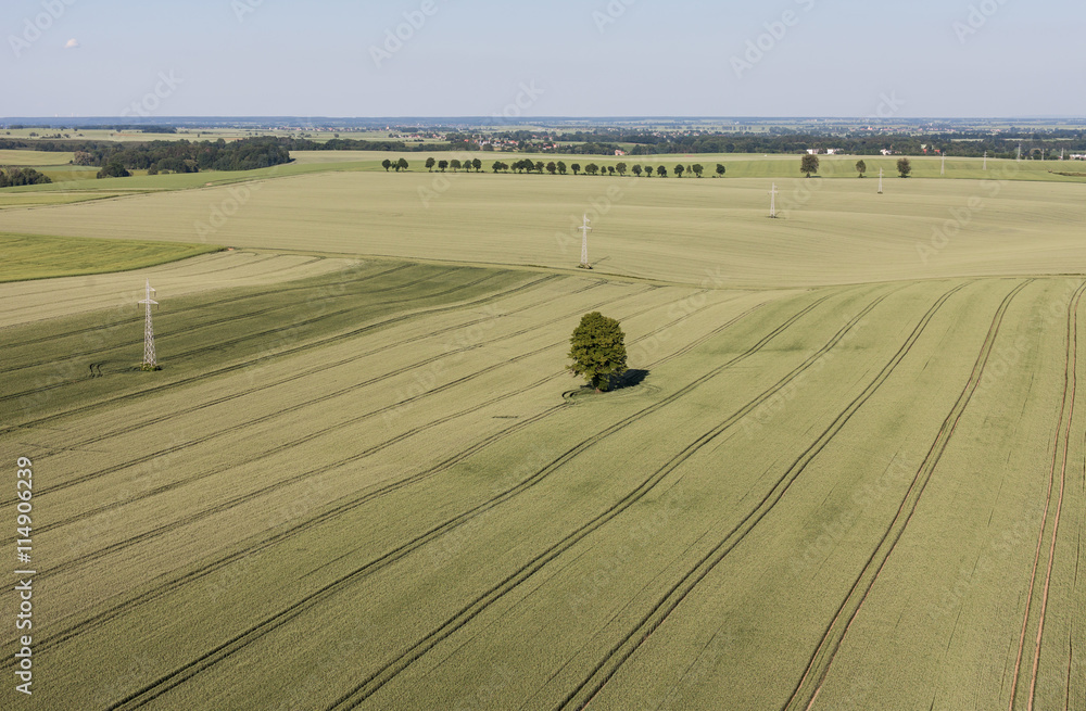 Obraz premium aerial view of the springtime harvest field