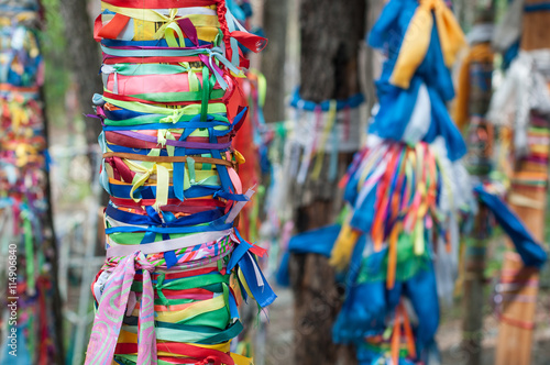 Trees tied with colored ribbons