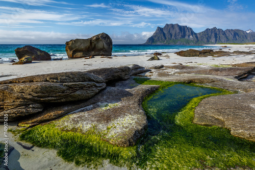 Fototapeta Naklejka Na Ścianę i Meble -  Beautiful beach with rock, sand and seaweed, Utakleiv, Lofoten, Norway
