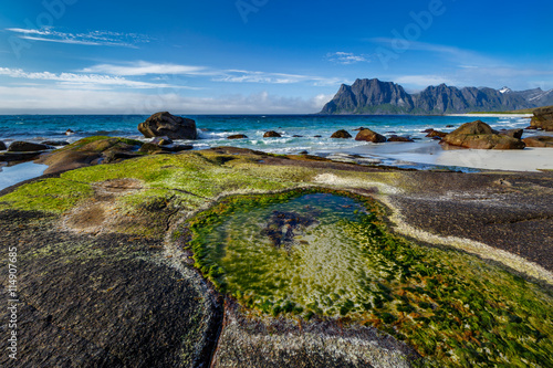 Beautiful northern beach with rock and seaweed, Utakleiv, Lofoten, Norway photo