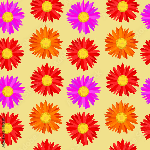 Fototapeta Naklejka Na Ścianę i Meble -  Seamless pattern with gerbera flowers of purple, red, orange flo