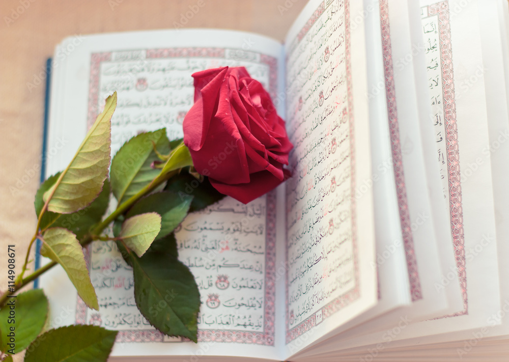 Quran - holy book of Islam with rose Stock Photo | Adobe Stock