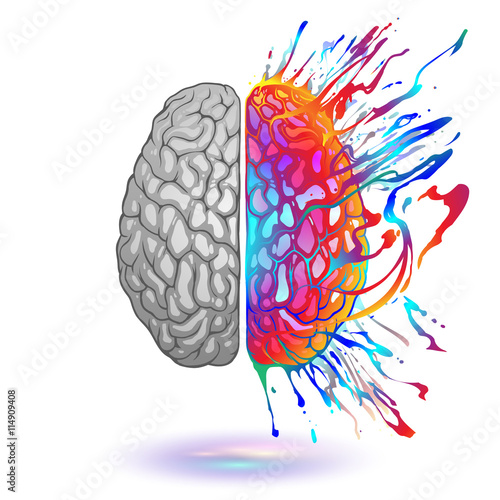 Human brain with creative splash