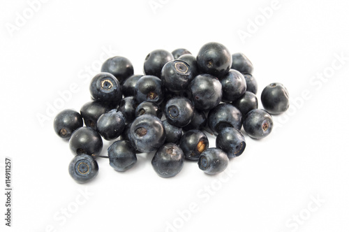 Blueberries on a uniform white background close-up front view. Just brought from the forest