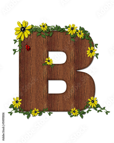 Alphabet Ladybug and Sunflower B