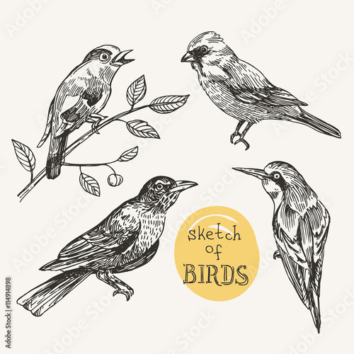 bird and flower