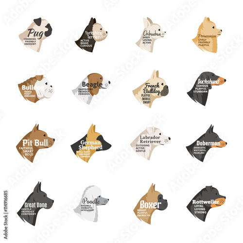 Vector dog icons collection isolated on white