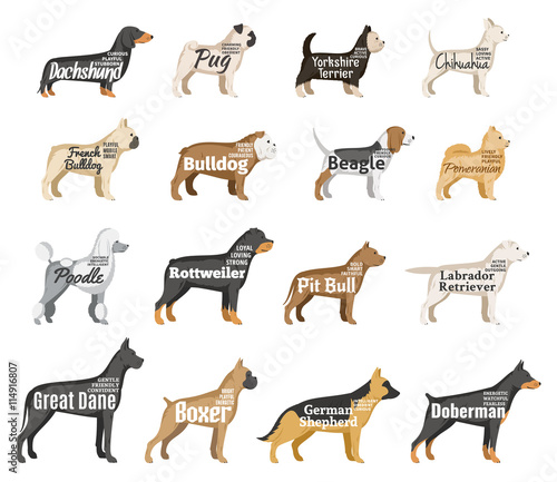 Vector dog silhouettes collection isolated on white