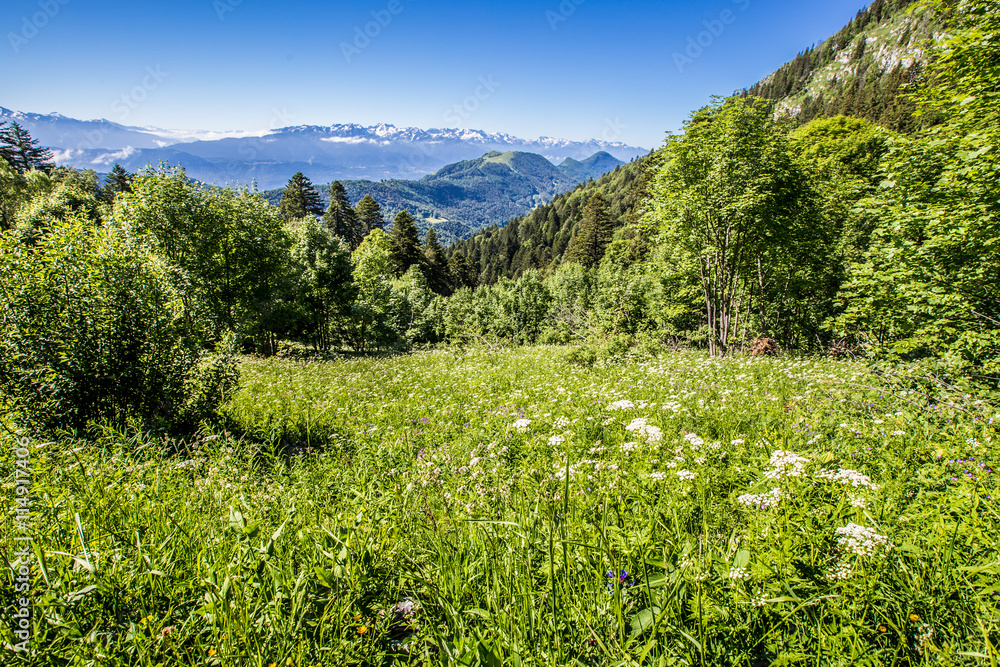 Obraz premium Début d'été dans les Bauges