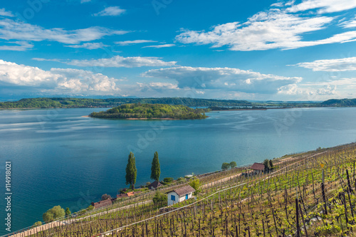 Vineyard by the lake of Biel, Switzerland