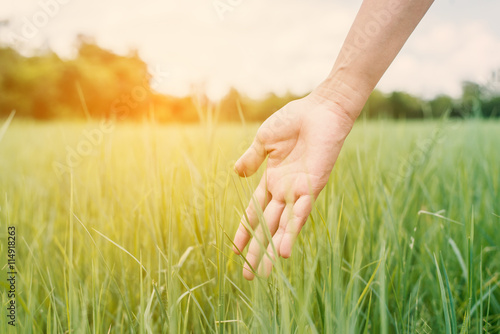 Young woman hand touching enjoy with green grass.