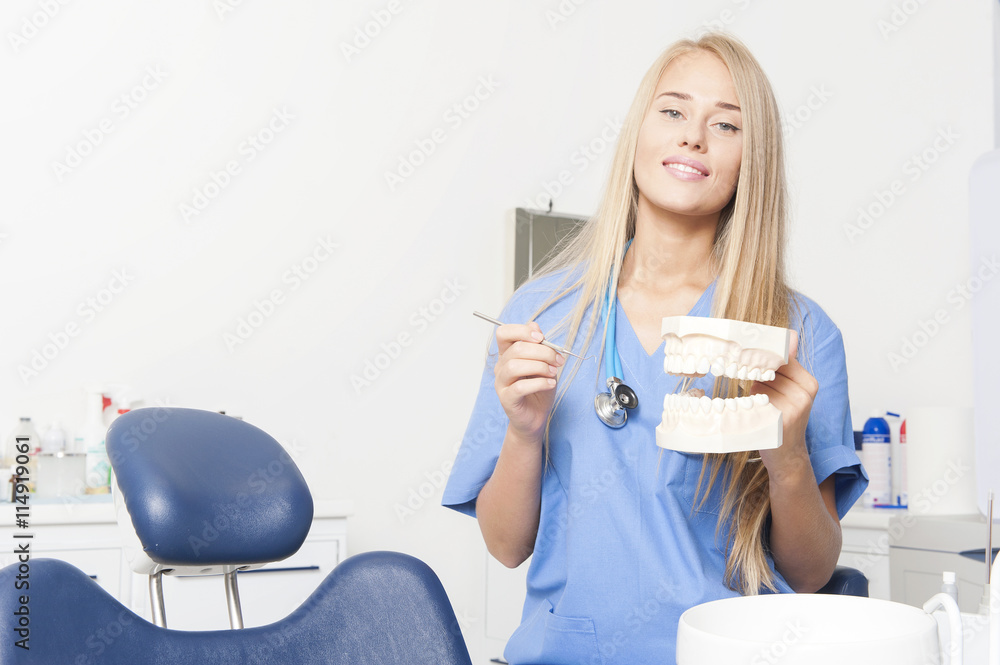 Female dentist, keeps in hand model of teeth.