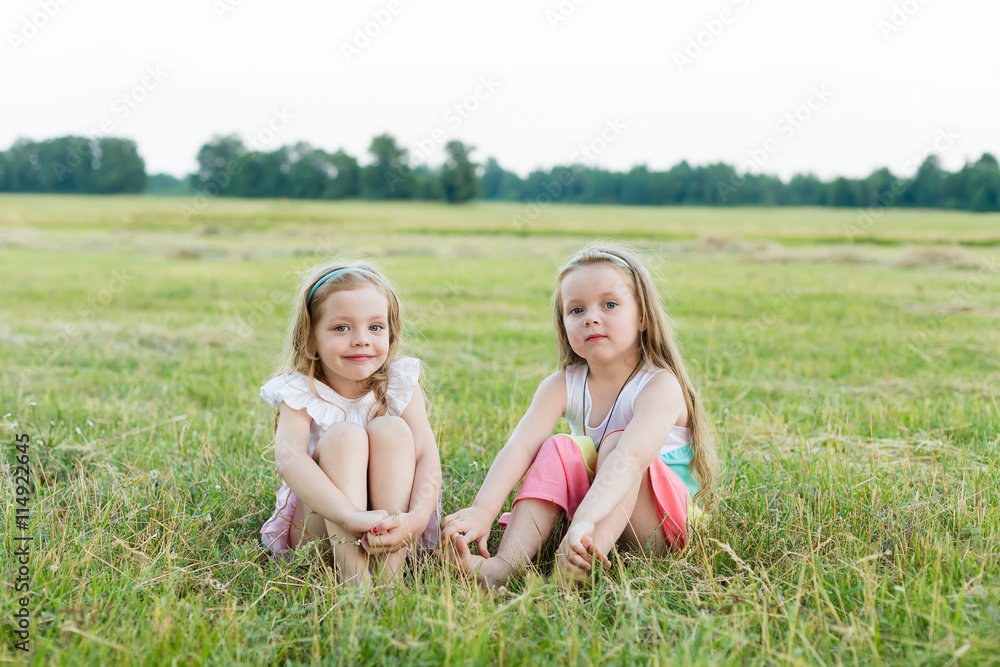 Fototapeta premium two beautiful girlfriends on the meadow