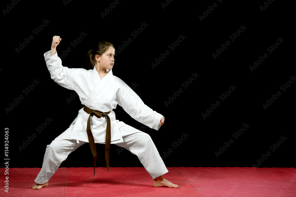 Karate martial Arts Karate martial Arts