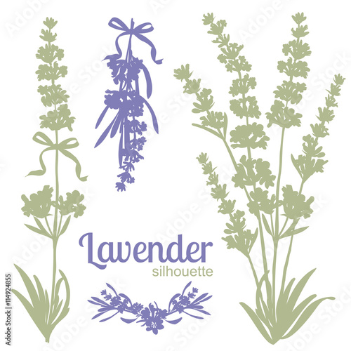 Fototapeta Naklejka Na Ścianę i Meble -  Set of silhouettes of lavender flowers