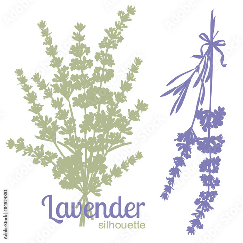 Fototapeta Naklejka Na Ścianę i Meble -  Set of silhouettes of lavender flowers