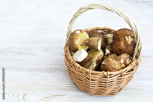 Placer white mushrooms in a wicker basket.