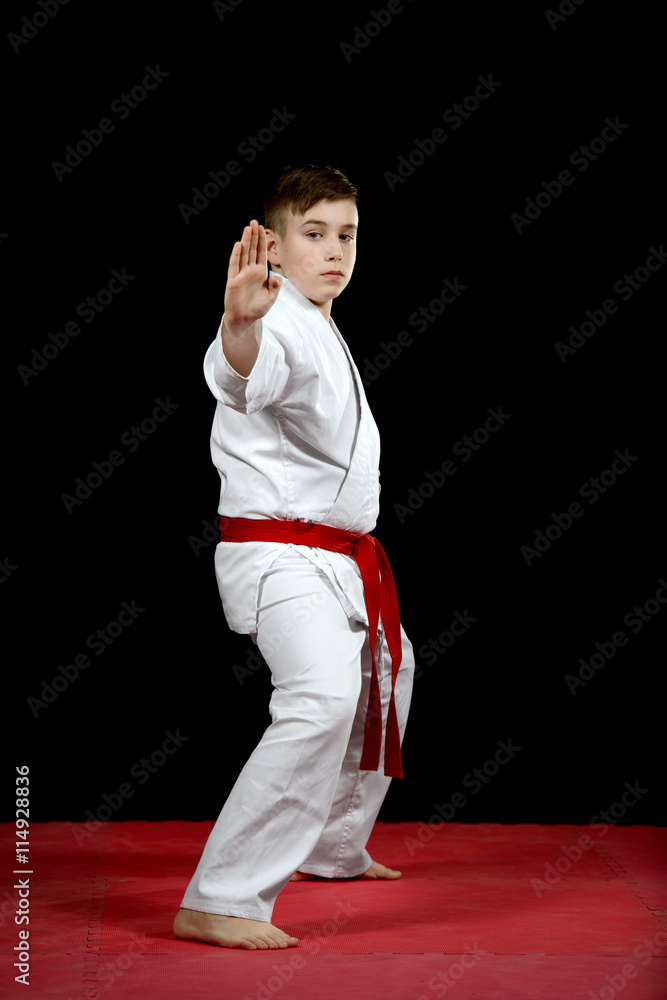 Karate martial Arts Karate martial Arts