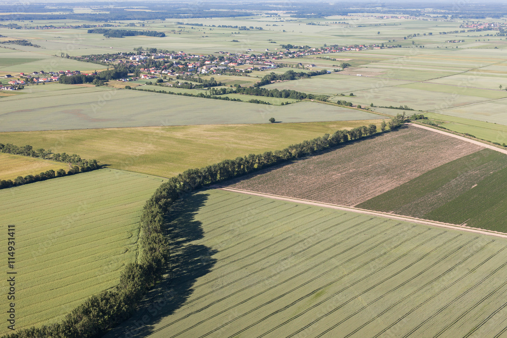 aerial view of the  harvest fields