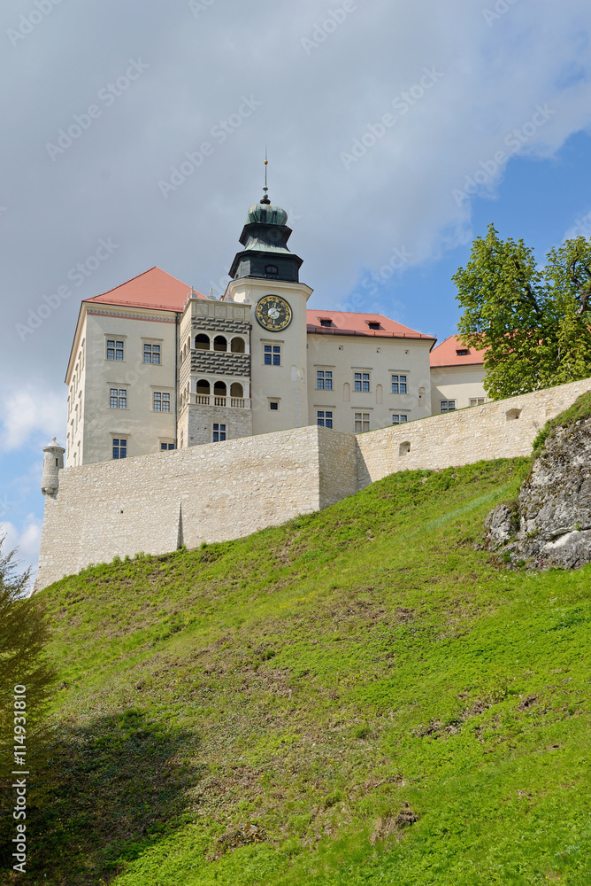 Castle in Pieskowa Skała