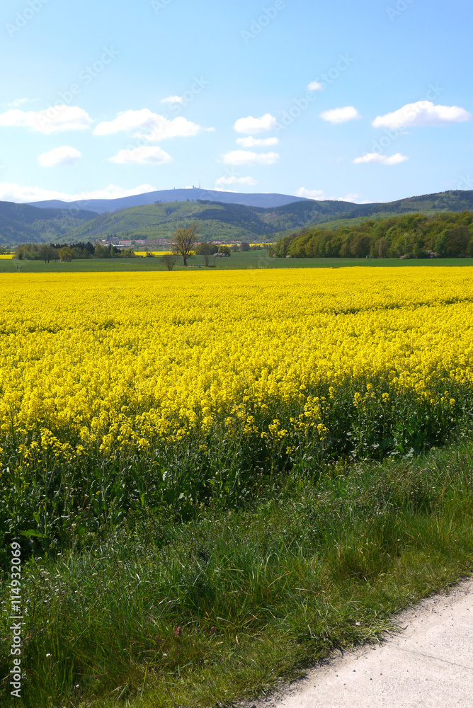 Radweg am Brocken