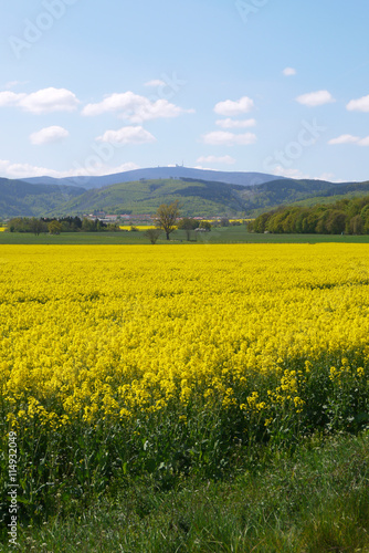 mit Blick auf den Brocken