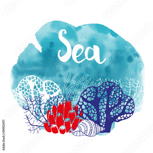 watercolor of sea life