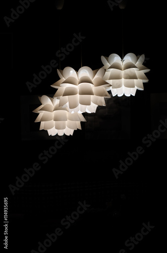 Designer ceiling lights