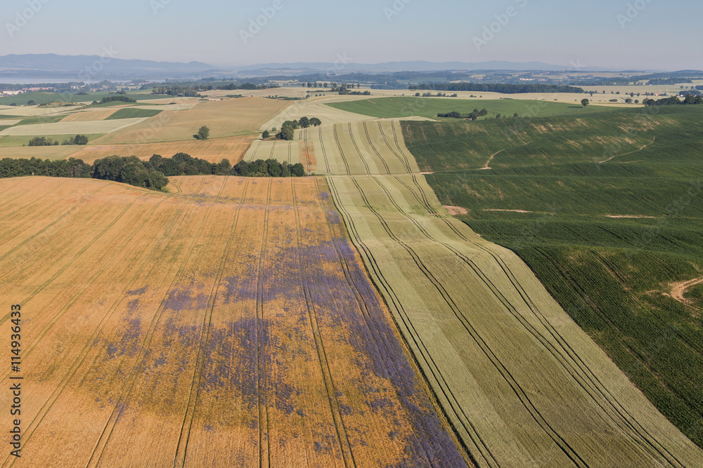 aerial view of the harvest fields  morning landscape